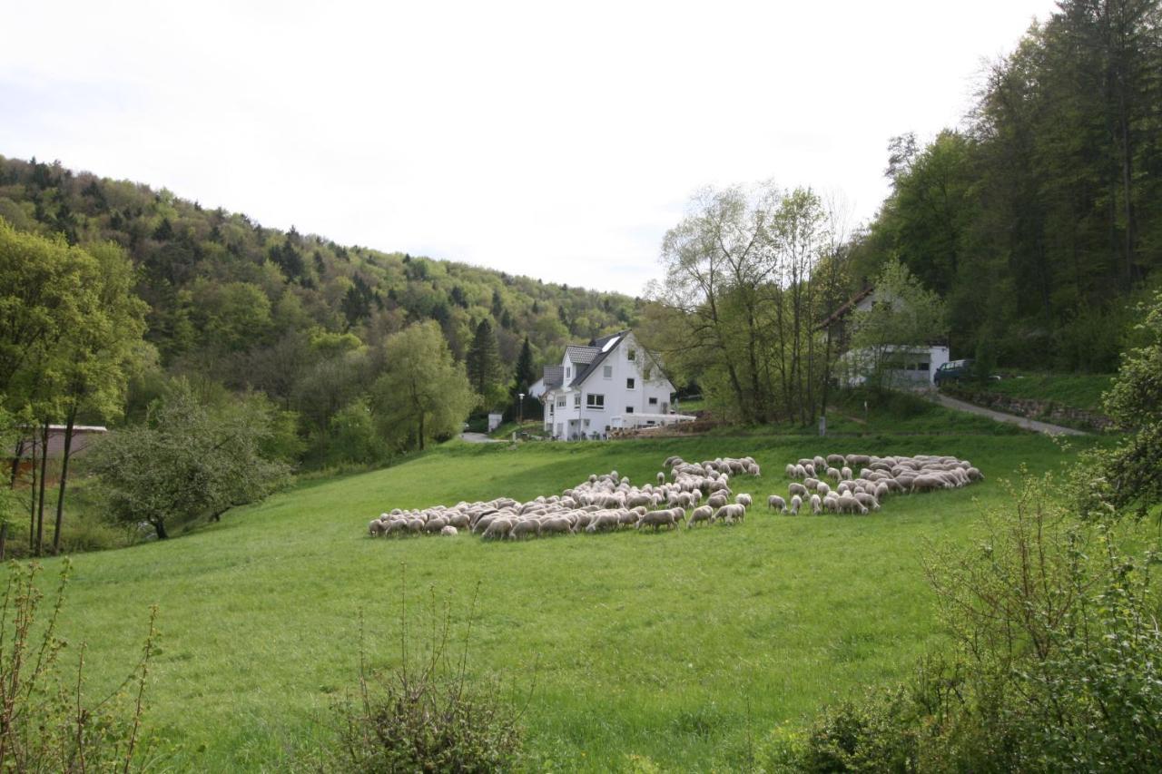 B&B Arlesbrunnen Egloffstein Exterior photo
